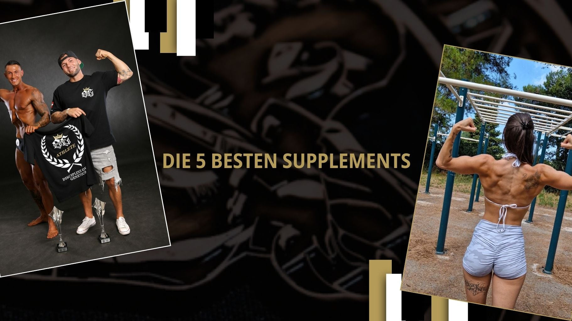 die 5 besten supplemets