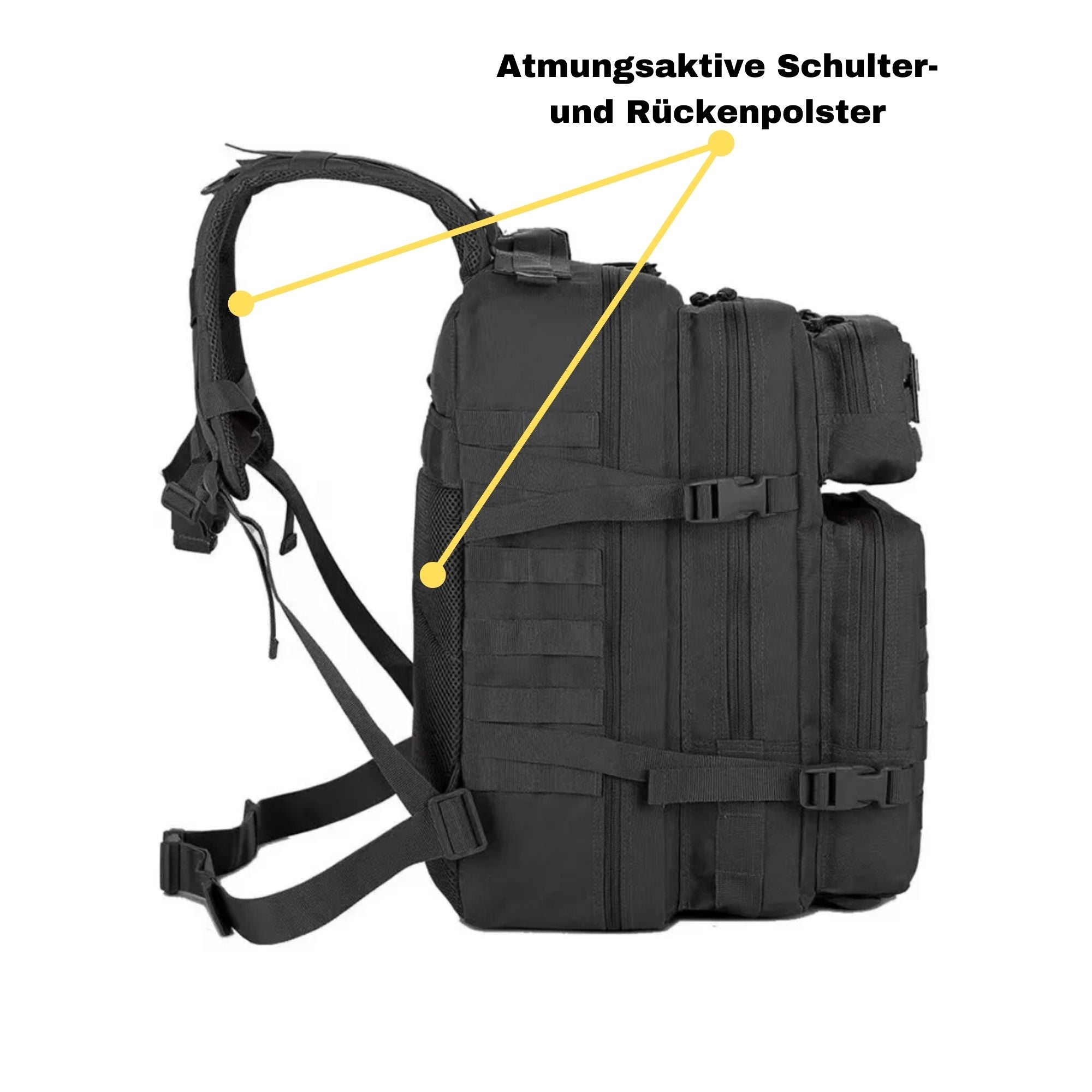 OG-Alpha-pack-description-1