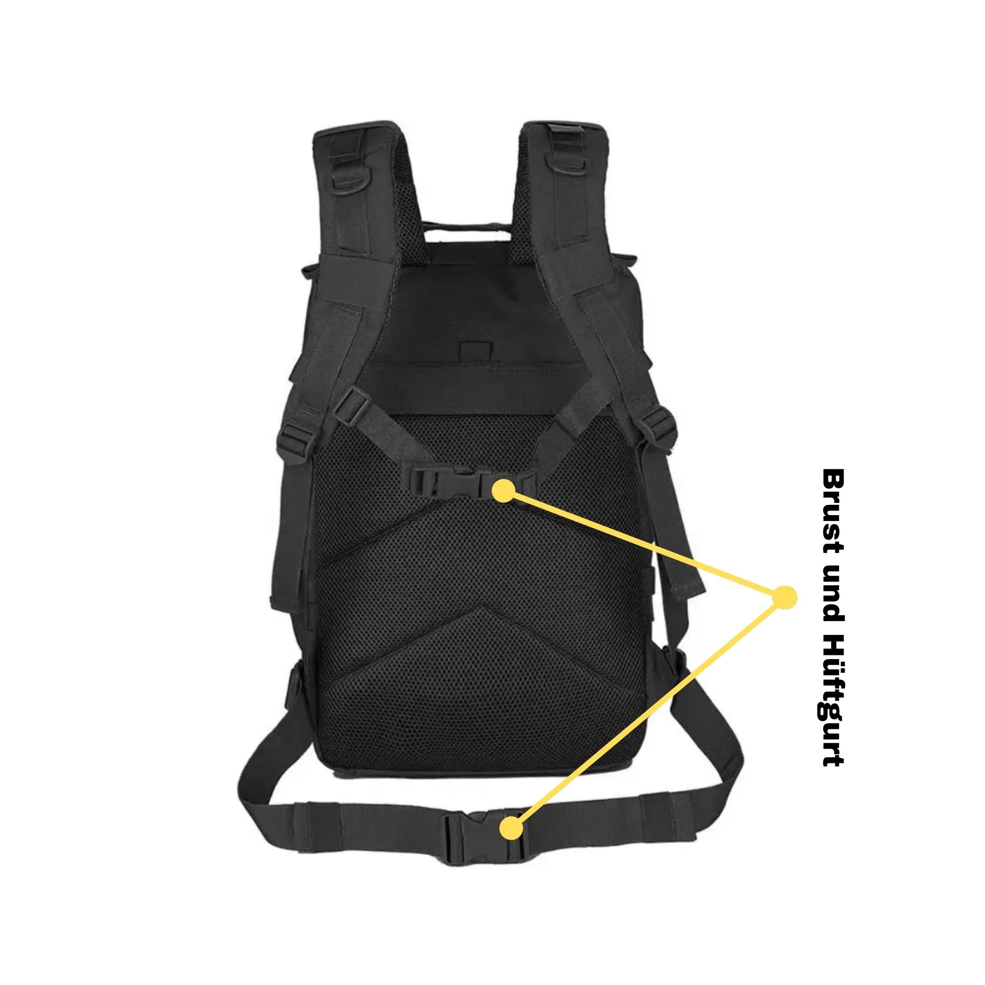 OG-Alpha-pack-description-2
