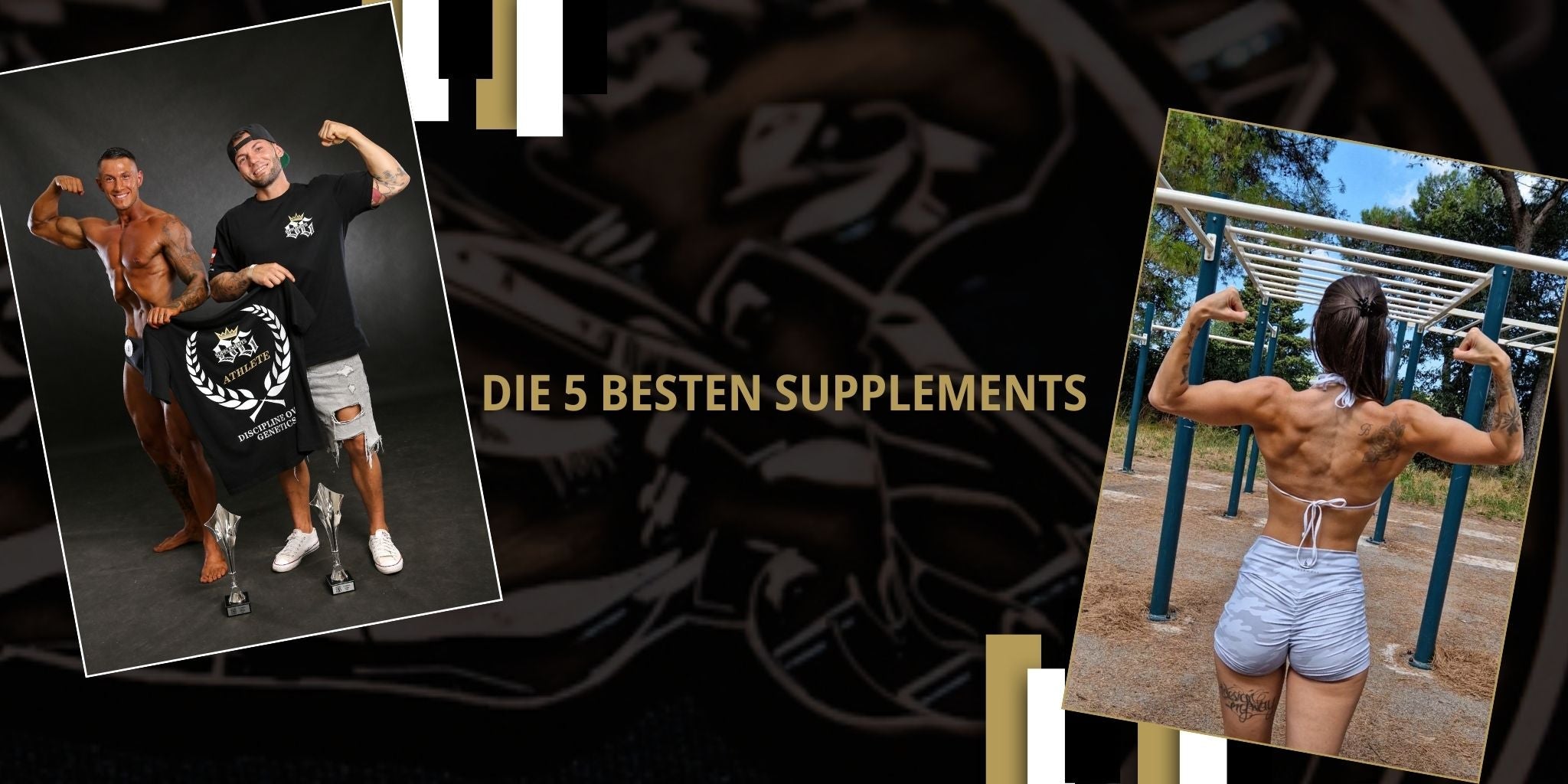 die 5 besten supplemets