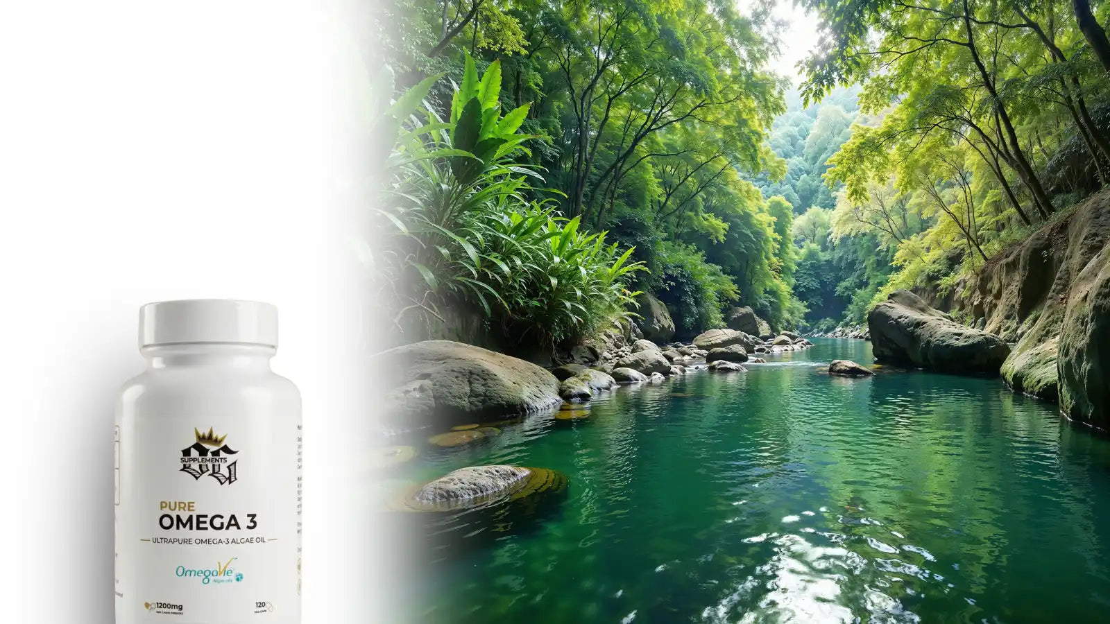 Omega 3 im Faktencheck